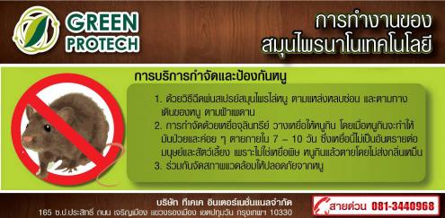 Green Protech กำจัดปลวก, หนู, มด, แมลงสาบ ด้วยสมุนไพรนาโนเทคโนโลยี ปลอดภัย 100%