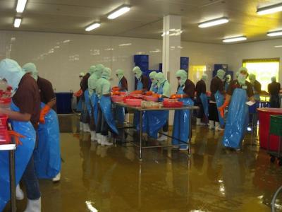 รับทำพื้น Epoxy,เคลือบพื้น,ทำพื้นโรงงาน,พื้นโกดัง,พื้นลานจอดรถ,พื้นห้องเย็น