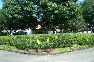 ให้เช่าบ้านเดี่ยวชั้นเดียวตกแต่งพร้อมเฟอร์ 100 ตร.ว