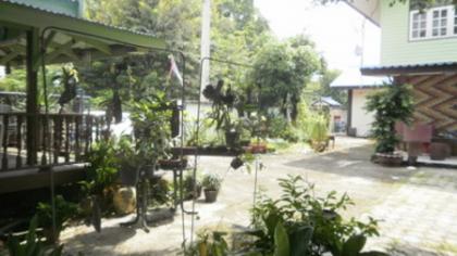 ขายบ้านเดี่ยว 2 ชั้นพร้อมที่ดิน 1 ไร่ 80 ตร.ว. ถนนพหลโยธิน ซอย 62
