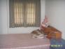 For Rent บ้านเดี่ยว 2 ชั้น 50 ตร.ว.ม.เพอร์เฟเฟอร์นิเจอร์คเพลส ถนนรามคำแหงพร้อม