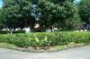ให้เช่าบ้านเดี่ยวชั้นเดียวตกแต่งพร้อมเฟอร์ 100 ตร.ว
